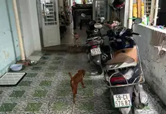 Nhà 2 tầng 4PN tại Phường Xóm Chiếu, Quận 4, giá nhỉnh 11,xtỷ... Bán nhà riêng tại Xóm Chiếu, Hồ Chí Minh 11