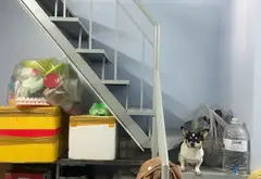 Bán nhà mặt phố 2 tầng, mặt tiền 4.5m tại trung tâm Quận 10... Bán nhà mặt phố tại Diên Hồng, Hồ Chí Minh 05