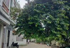 Nhà phố ba tầng riêng tư đẳng cấp tại trung tâm Đà Nẵng... Bán nhà riêng tại Ngô Quyền, Hải Phòng 15