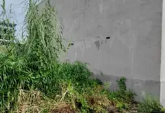 Bán đất nền 105m2 tại Thủy Nguyên gần Khu công nghiệp Nam Cầu Kiền với mặt tiền rộng 5m... Bán đất tại Thiên Hương, Hải Phòng 04