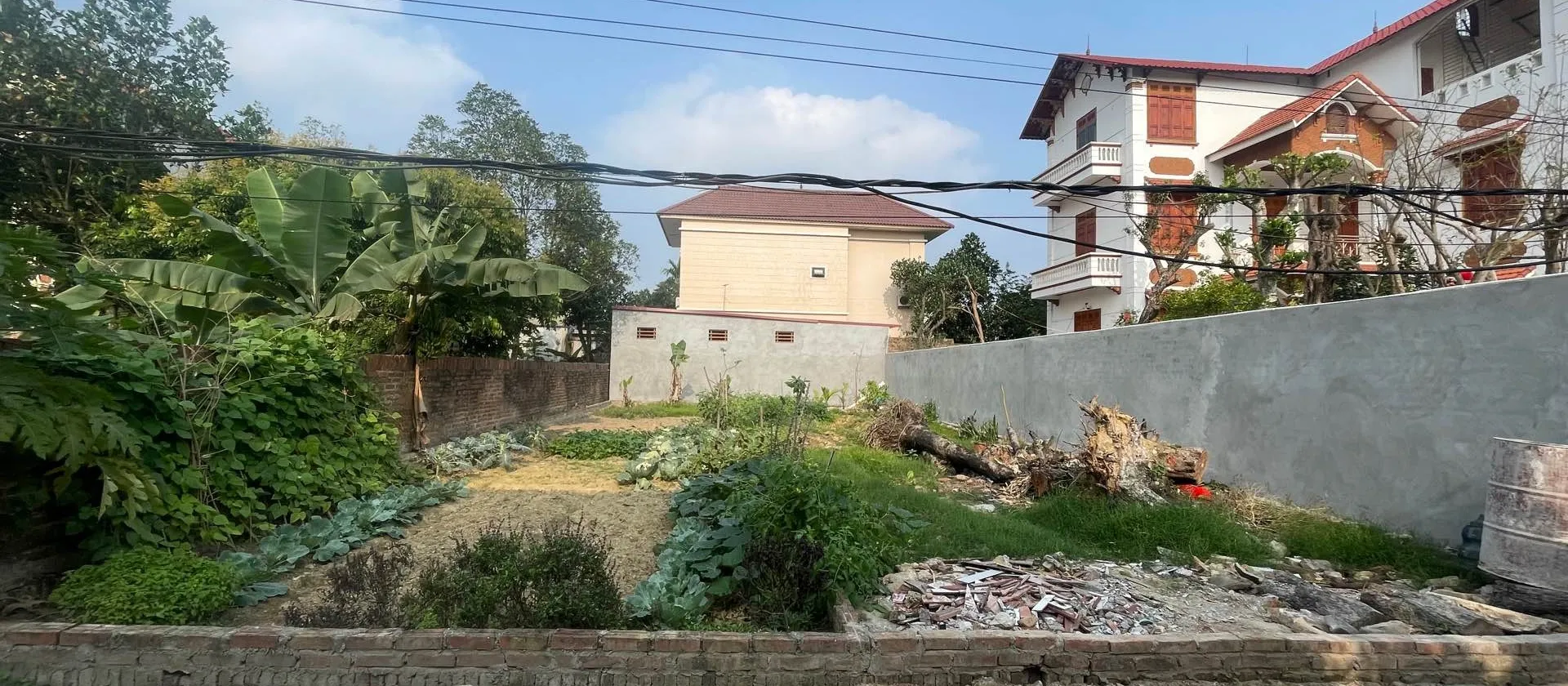 Đất Vuông Vắn 100m² Tại Đan Tảo Sóc Sơn - Ngõ Rộng Ô Tô Vào Tận Nơi... Bán đất tại Sóc Sơn, Hà Nội 01