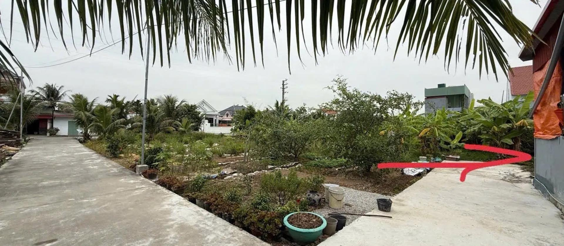 Bán đất phường Nam Đồ Sơn, Hải Phòng, diện tích 117,5 m2, pháp lý cơ sở, hai mặt ngõ... Bán đất tại Nam Đồ Sơn, Hải Phòng 01