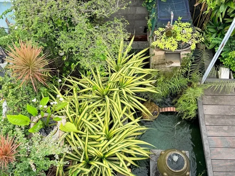 BIỆT THỰ ĐẲNG CẤP VỊ TRÍ ĐỈNH VÀNG-CHÍNH CHỦ 1 ĐỜI THIẾT KẾ CÓ TÂM HUYẾT-CÓ SÂN VƯỜN- HỒ CÁ KOI-128... Bán biệt thự, liền kề tại An Hội Tây, Hồ Chí Minh 01