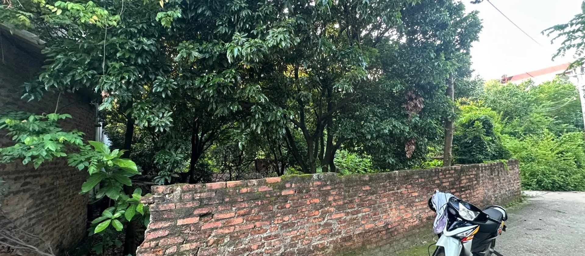 Bán đất thôn Phú Cường, xã Kim Anh, Hà Nội, diện tích 735m2... Bán đất tại Kim Anh, Hà Nội 01