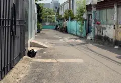 Bán đất Tam Bình, TP. Thủ Đức - diện tích 66m², pháp lý sổ hồng riêng... Bán đất tại Tam Bình, Hồ Chí Minh 06