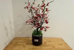 Biệt thự tiện nghi đỉnh cao ở Văn Giang... Bán nhà mặt phố tại Văn Giang, Hưng Yên 12