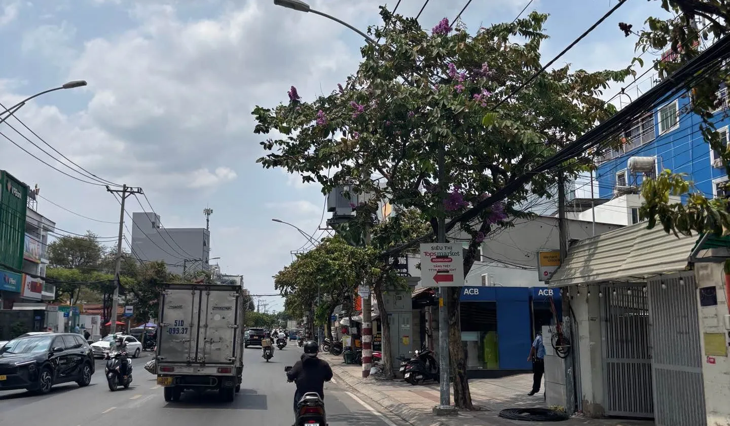 Bán đất khu vực Thủ Đức, diện tích 40,6m², giá 2,55 tỷ... Bán đất tại Thủ Đức, Hồ Chí Minh 01