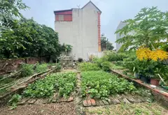 VIEW HỒ Ô TÔ VÀO ĐẤT 45m nhỉnh 3 tỷ... Bán đất tại Phúc Thịnh, Hà Nội 01