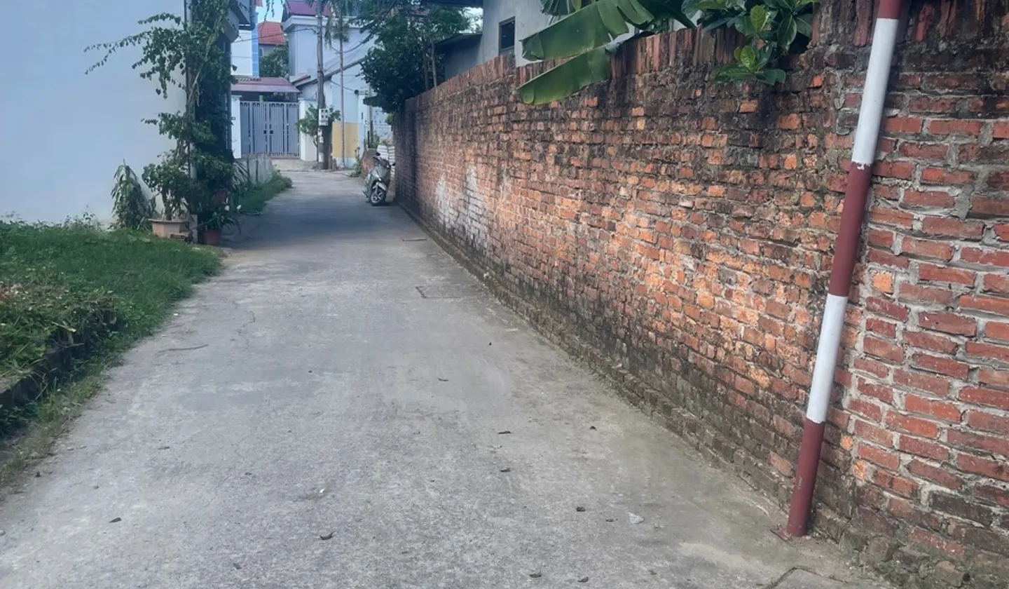 Bán đất thổ cư đường ô tô Đan Tảo, Tân Minh, Sóc Sơn, diện tích 60,2m²... Bán đất tại Sóc Sơn, Hà Nội 01