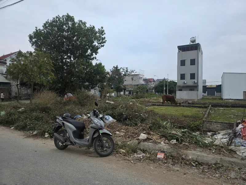 Bán đất thổ cư 80m2 khu đấu giá Thôn Sơn Du, Đông Anh, mặt tiền rộng, pháp lý có sổ... Bán đất tại Đông Anh, Hà Nội 01