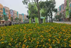 BÁN CĂN HỘ LIỀN KỀ PHỐ TÂY VINHOMES OCEAN PARK VIEW SÔNG... Bán nhà mặt phố tại Nghĩa Trụ, Hưng Yên 07
