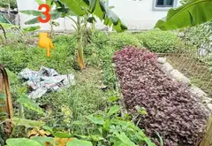 Lô Đất Hấp Dẫn Tại Xích Thổ - Ngõ Thông, Ô Tô Vào Tận Nơi... Bán đất tại An Hải, Hải Phòng 06