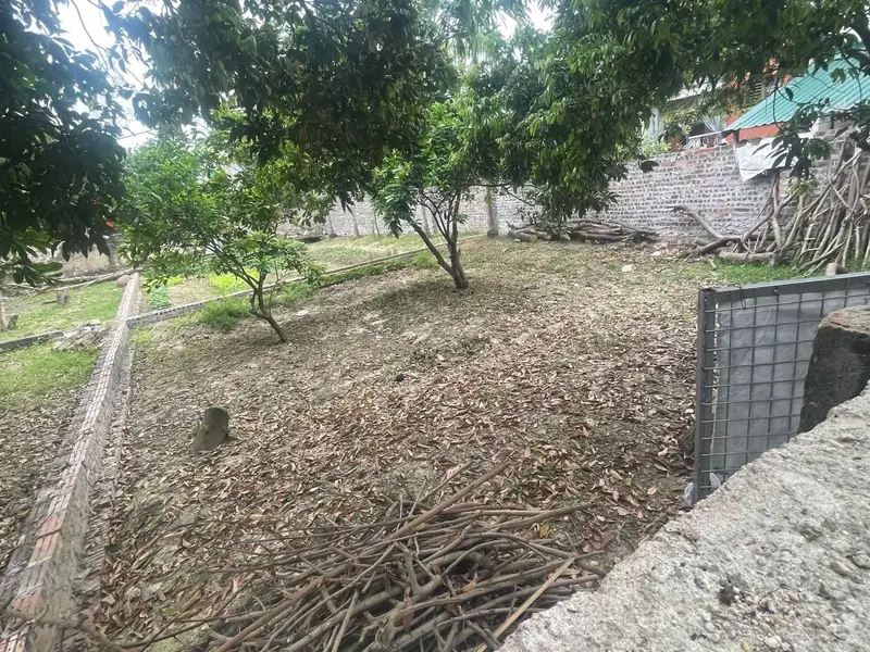 THÔN ĐÔNG , PHÚ MINH, NỘI BÀI SÓC SƠN 
ĐẤT 80m² FULL THỔ CƯ – NGÕ Ô TÔ VÀO NHÀ – THÔNG TỨ TUNG... Bán đất tại Nội Bài, Hà Nội 01