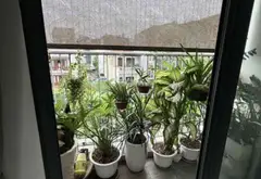CHUNG CƯ FELIZ HOMES. 3 NGỦ. 90M2 CHỈ 8.1 TỶ... Bán căn hộ chung cư tại Tương Mai, Hà Nội 11