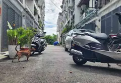 TÀI CHÍNH 3.X TỶ, CẦN NHÀ CẤP 4 Ô TÔ TRÁNH NHAU THỚI AN?
🏡 Căn nhà nằm trên hẻm VIP Lê Quang Hòa,... Bán nhà riêng tại Thới An, Hồ Chí Minh 05