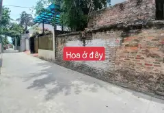Đất Phù Lỗ giá sốc, ô tô vào tận nơi, sổ đỏ chính chủ... Bán đất tại Sóc Sơn, Hà Nội 03