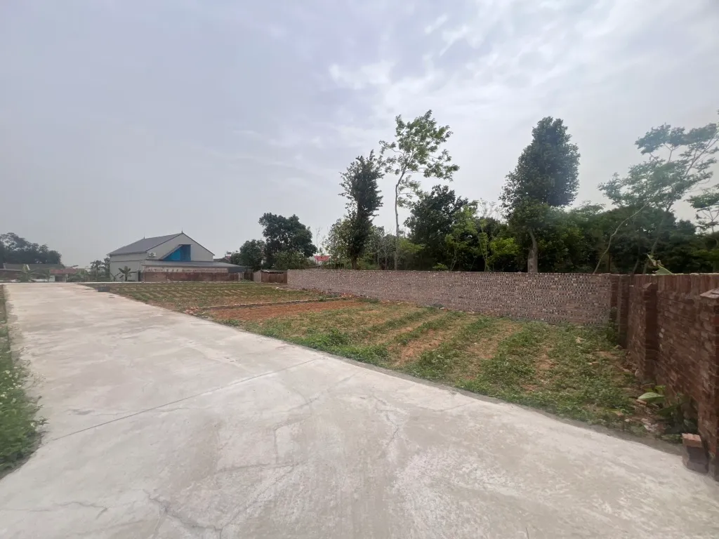 Đất Vàng Phù Linh Sóc Sơn - Gần Sân Golf, Giá Hời... Bán owner_side tại Sóc Sơn, Hà Nội 01
