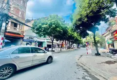 Đất Vũ Xuân Thiều – Sát Mặt Phố 22m, Ô Tô Đỗ Cửa... Bán đất tại Phúc Lợi, Hà Nội 05