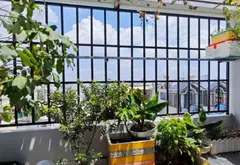 NHÀ 5 TẦNG 65M2 KHU ĐỒNG BỘ - PHƯỜNG AN NHƠN - THANG MÁY VIVU - 13TY TL... Bán nhà riêng tại An Nhơn, Hồ Chí Minh 14