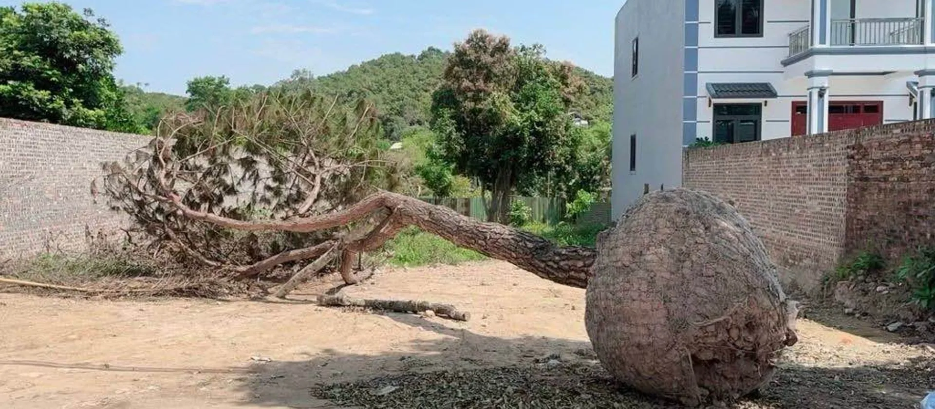 Bán Lô Đất Đẹp Dân Dụng – Đầu Tư Khôn Ngoan... Bán đất tại Sóc Sơn, Hà Nội 01