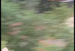 Đất phân lô thôn Vàng, vị trí vàng chờ bứt phá... Bán đất tại Gia Bình, Bắc Ninh 02