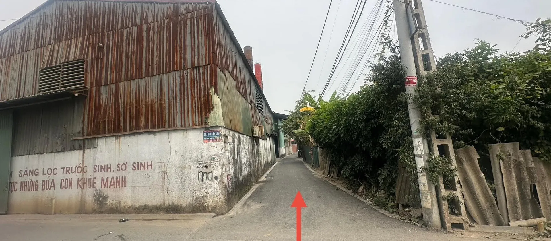 Bán đất thổ cư 50,5m2 tại Bến Trung, Bắc Hồng, Đông Anh... Bán đất tại Phúc Thịnh, Hà Nội 01