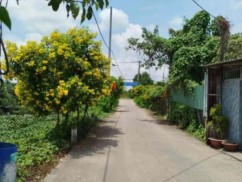Bán nhà mặt phố tại Hưng Nhơn, diện tích 250m², 4 tầng, pháp lý rõ ràng... Bán nhà mặt phố tại Tân Nhựt, Hồ Chí Minh 01