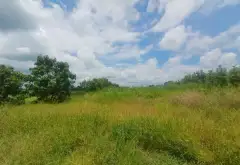 Kho bãi rộng lớn, vị trí đẹp giá hợp lý tại Đinh Đức Thiện... Bán kho, nhà xưởng tại Bình Chánh, Hồ Chí Minh 03