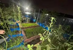 Căn hộ rộng rãi, view đẹp tại Ái Mộ, giá tốt... Bán căn hộ chung cư tại An Khánh, Hà Nội 03