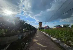 Bán đất thôn Vĩnh tuy văn giang hưng yên diện tích 55m2... Bán đất tại Văn Giang, Hưng Yên 02