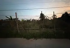 Cơ hội sở hữu khu đất rộng rãi tại Đa Phúc, thích hợp kho xưởng và nhà vườn... Bán đất tại Hưng Đạo, Hải Phòng 07