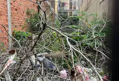 Bán đất 120m2 khu Khuông Việt Tân Phú, hẻm ô tô rộng 8m... Bán đất tại Tân Phú, Hồ Chí Minh 04