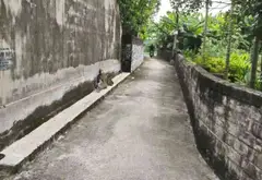 Lô đất vuông vắn hướng Tây Bắc tại Thủy Nguyên, Hải Phòng, diện tích rộng 66.9 m²... Bán đất tại Bạch Đằng, Hải Phòng 07