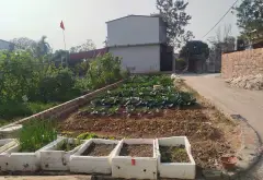 Bán đất 90m2 full thổ cư Trung Giã, mặt tiền 4,6m, đường 4m... Bán đất tại Trung Giã, Hà Nội 01
