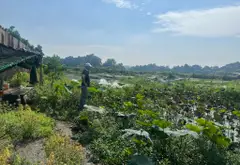 Bán nhà mặt phố 5870 m2, mặt tiền rộng 40 m, giá 40 tỷ... Bán nhà mặt phố tại Đông Thạnh, Hồ Chí Minh 05