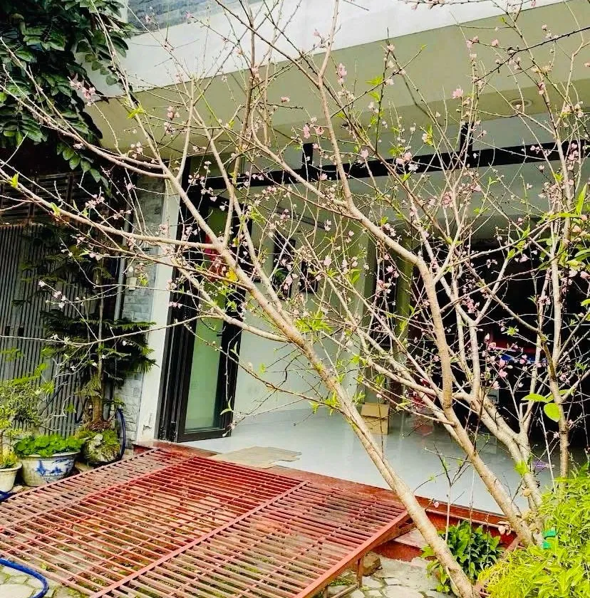 Biệt thự, liền kề ô tô tránh gần trung tâm, cơ hội sở hữu giá tốt... Bán biệt thự, liền kề tại Kiến Hưng, Hà Nội 01