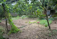 Bán đất tại xã Kính Nỗ với pháp lý chuẩn, diện tích 158.2 m², giá 13.5 tỷ đồng... Bán đất tại Đông Anh, Hà Nội 02