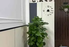 Nhà mặt tiền đắc địa sát công viên Bình Phú, không gian sống thượng lưu... Bán nhà mặt phố tại Bình Phú, Hồ Chí Minh 05