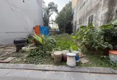Bán đất 53.7m² tại Thư Lâm (thị trấn Đông Anh), ô tô vào đất... Bán đất tại Thư Lâm, Hà Nội 01