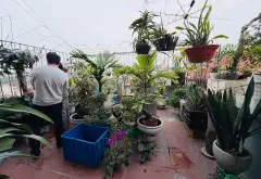 Nhà góc 3 mặt thoáng, ô tô tránh, đồ xịn ngay trung tâm Đa Sỹ... Bán nhà riêng tại Kiến Hưng, Hà Nội 13