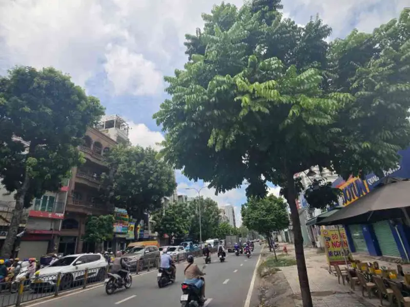 Nhà mặt phố hướng Đông Nam tại trung tâm quận, mặt tiền rộng 9.1m... Bán nhà mặt phố tại Phú Thọ, Hồ Chí Minh 01