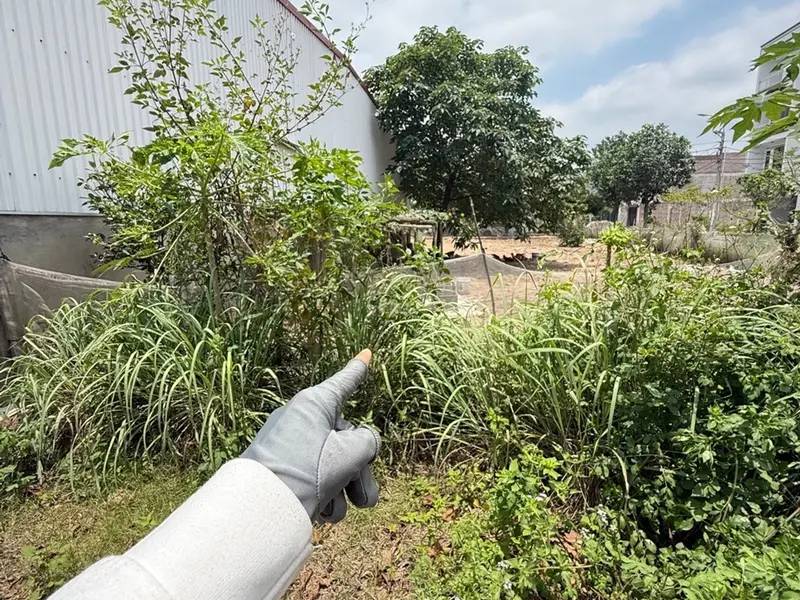 Bán đất phân lô tại trung tâm Ân Thi, Hưng Yên, mặt tiền rộng, thuận tiện kinh doanh... Bán đất tại Ân Thi, Hưng Yên 01