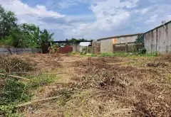 Bán 2000m2 đất Long Phước đường xe tải quận 9, giá 11.4 tỷ... Bán đất tại Long Phước, Hồ Chí Minh 03