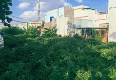 Đất lớn giá tốt - 57.5m² - An Phú Đông, Quận 12, TP Hồ Chí Minh... Bán đất tại An Phú Đông, Hồ Chí Minh 10