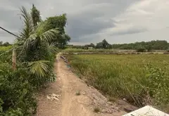 Bán đất khuôn viên lớn xã Bình Khánh, Cần Giờ, diện tích 17.436m2, giá 139 tỷ đồng... Bán đất tại Bình Chánh, Hồ Chí Minh 03