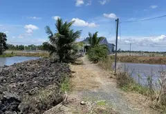 Mảnh đất siêu rộng mặt sông - Không gian xanh lý tưởng tại Thủ Thừa... Bán đất tại Bình Chánh, Hồ Chí Minh 02