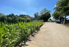 Đức Hợp 115,2m2 - Thôn Phú Cường, MT 4,22m x 18,9m - Ô tô tránh, View sông Hồng - 2,22 tỷ... Bán đất tại Đức Hợp, Hưng Yên 04