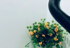 Nhà 4 tầng hiện đại, tiện nghi ngay trung tâm Quận 3... Bán nhà riêng tại Nhiêu Lộc, Hồ Chí Minh 08