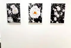 Căn hộ đẳng cấp tại Vinhomes Central Park, Bình Thạnh- 2pn , sổ riêng thang máy... Bán căn hộ chung cư tại Thạnh Mỹ Tây, Hồ Chí Minh 01