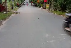 Đất ô tô vào thoải mái ngay sau nhà văn hóa Mai Động... Bán đất tại Phù Khê, Bắc Ninh 04